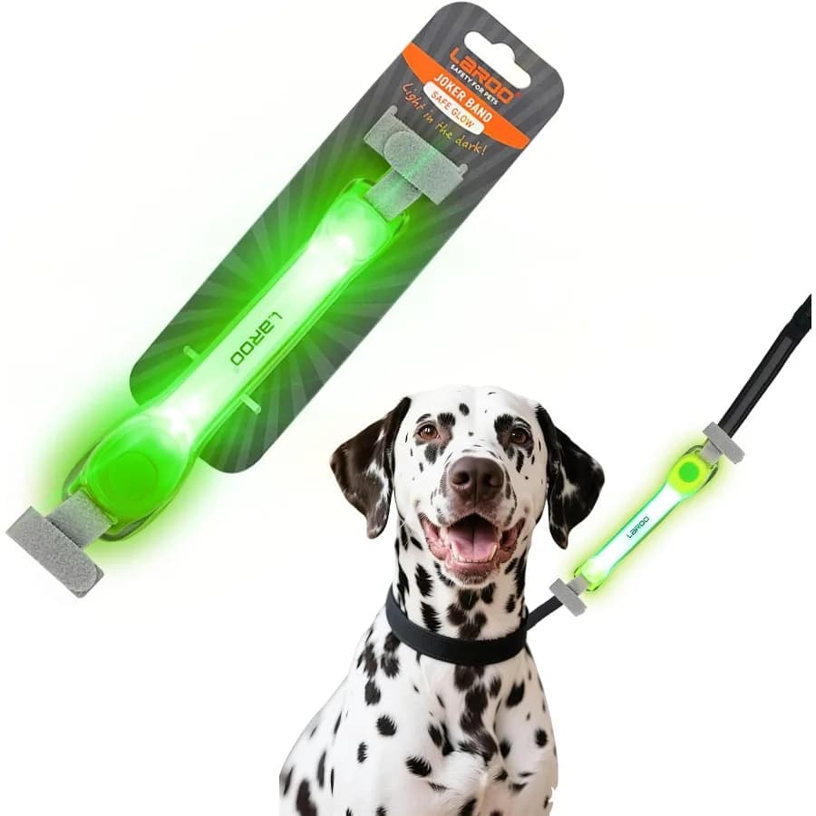 Collare per cani illuminato con adesivi in nylon Accessori per collare luminosi universali per imbracatura per guinzaglio LED per cani impermeabile in silicone
