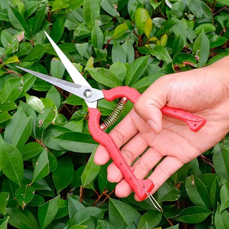 Forbici da potatura - forbici da giardinaggio multifunzionali in acciaio inossidabile, adatte per frutteti, bonsai e piante infestanti.