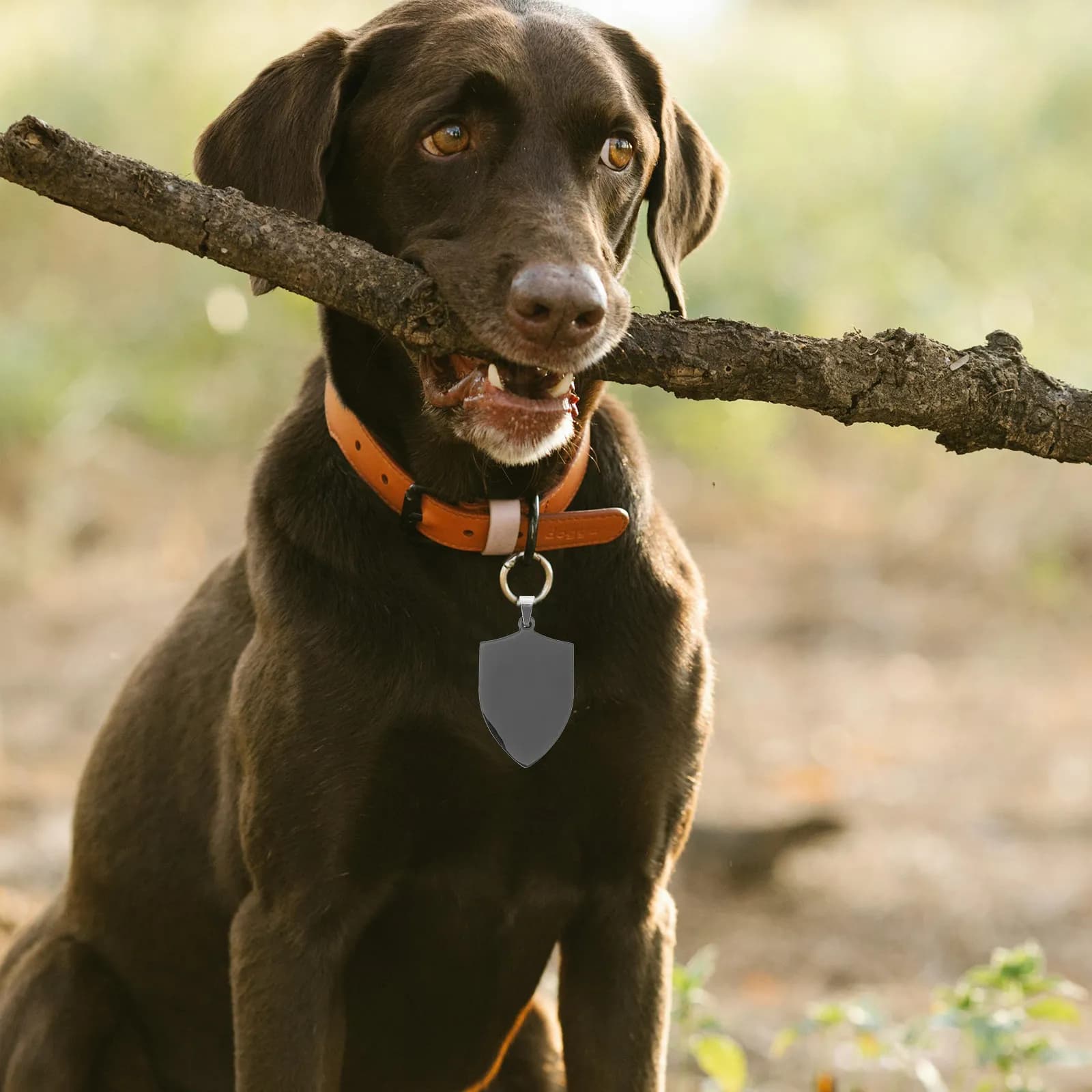 2 Pezzi Targhette Identificative Vuote in Acciaio Inossidabile per Incisione, Pronte per la Personalizzazione, per Animali Domestici, Ciondolo per Collare, a Forma di Piccolo Scudo, in Metallo Stampabile