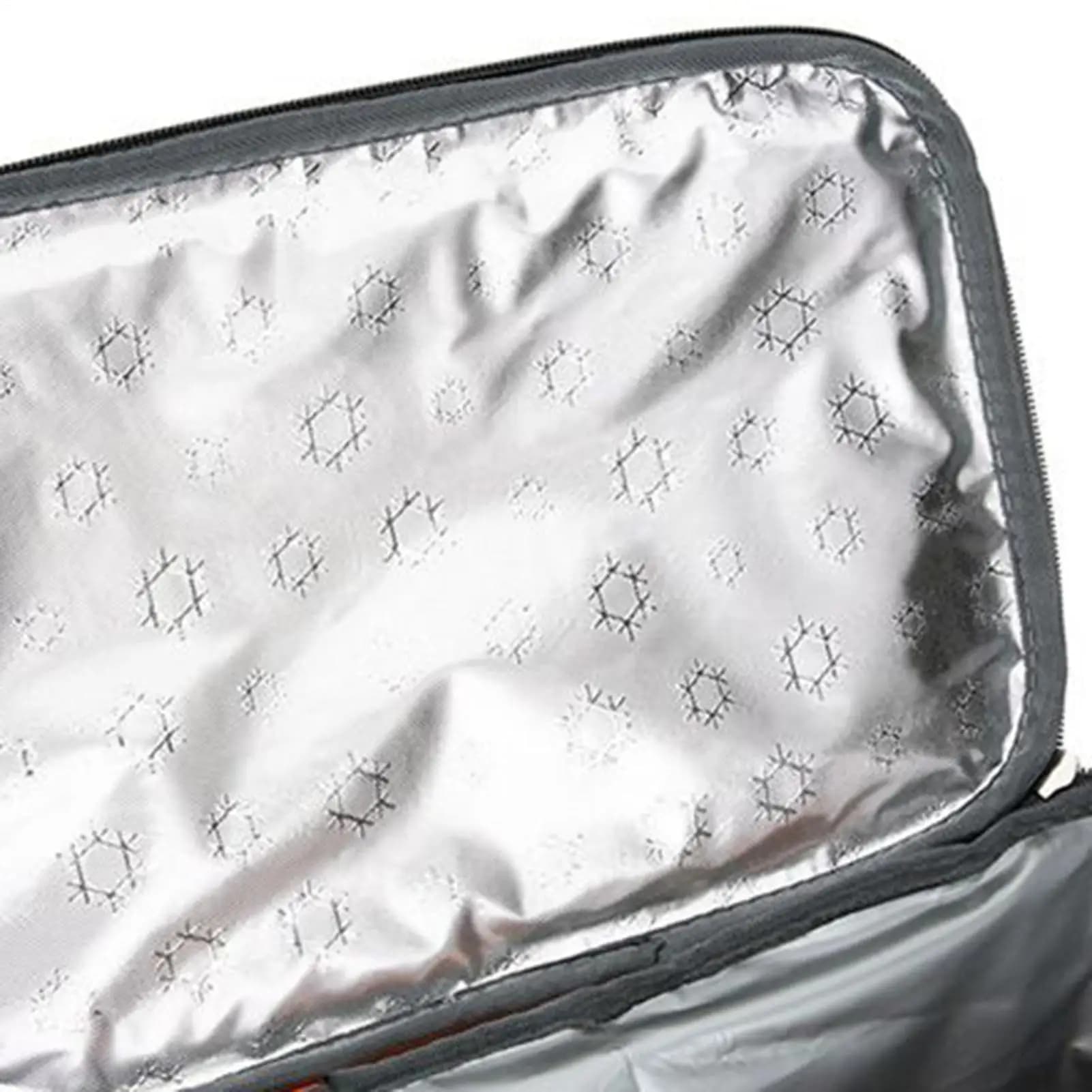 Zaino Borsa per il pranzo Zaino isolato a prova di perdite da 50 litri Scatola a tenuta stagna Borsa impermeabile per picnic sulla spiaggia Barbecue Campeggio Viaggi Escursionismo