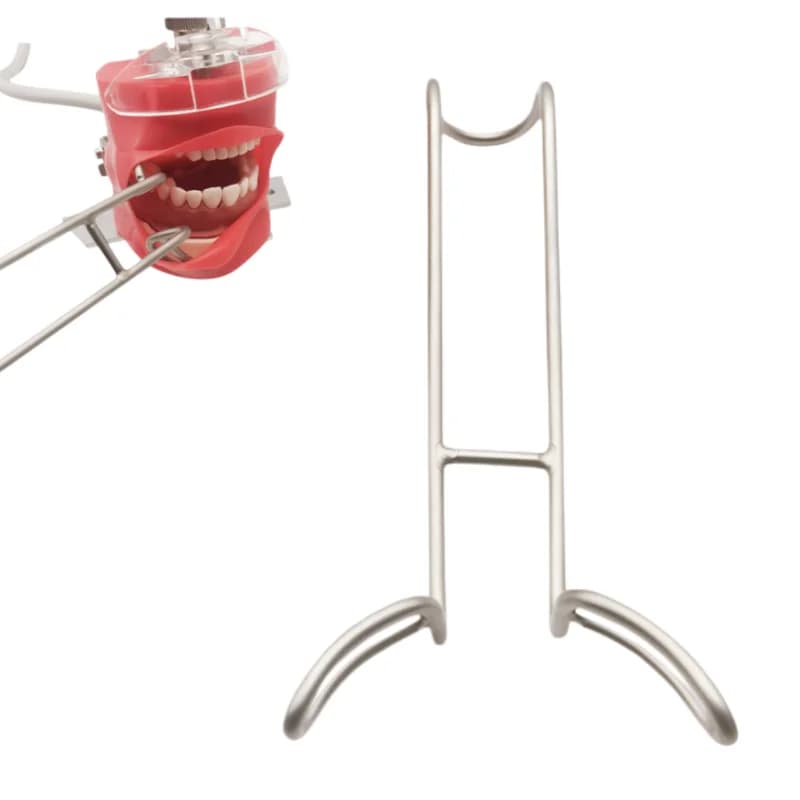 1 pcs Double Head Dental Divator Stainless Steel for Dentali Systems, Mouth Opening and Tooth Whitening, Oral Care Tool