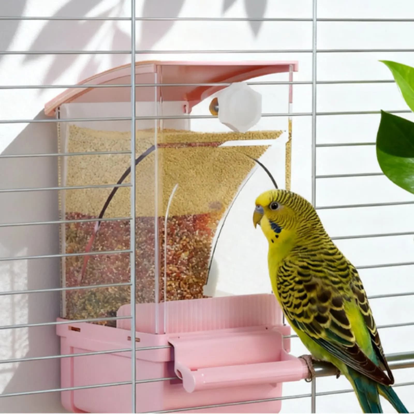 Automatic Eating Machine for Birds with Taste Separation, Anti-Sporch Container Easy to Clean for Indoor Parrots