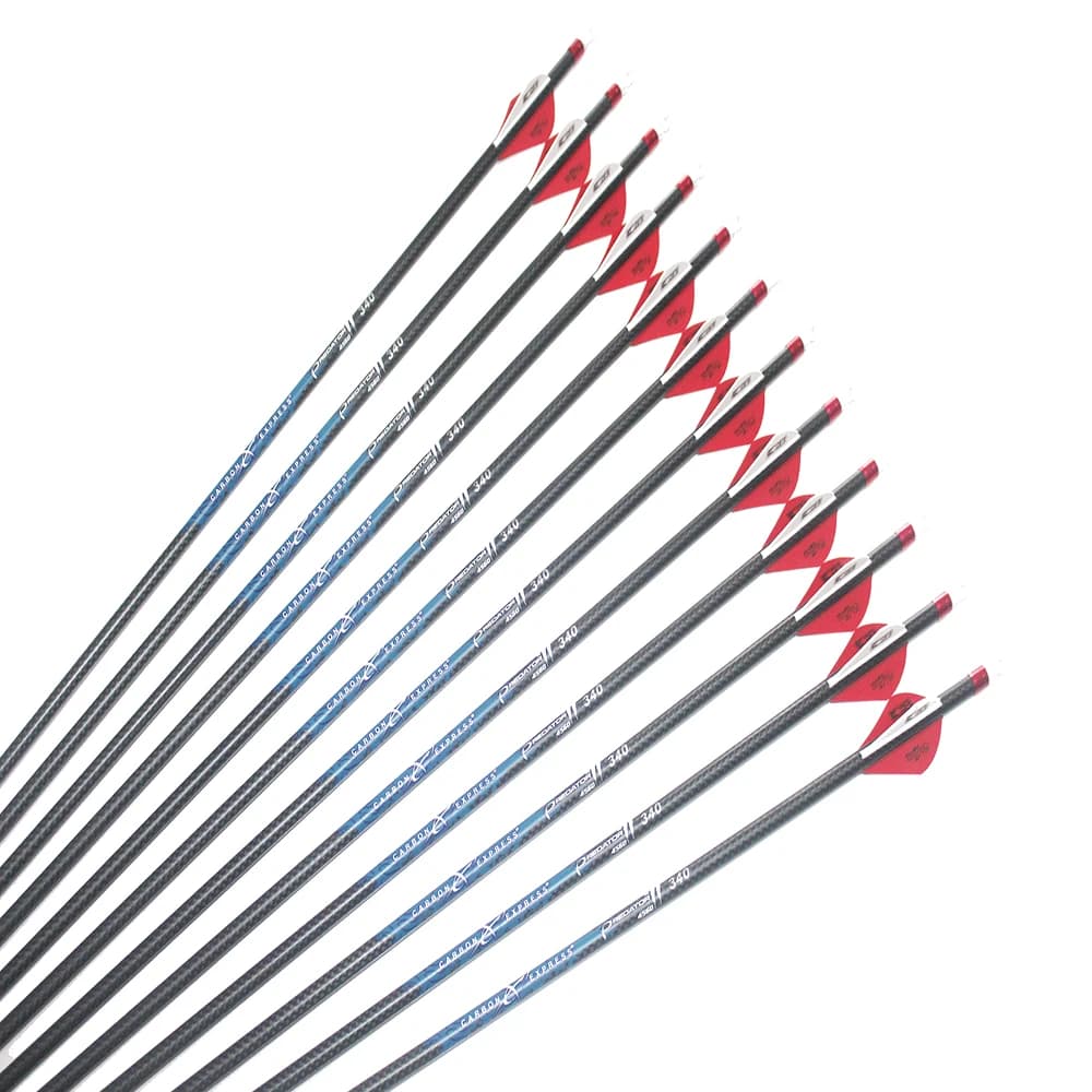 12 Pezzi Frecce in Carbonio da 32 Pollici per Tiro con l'Arco, ID 6.2mm, Spine 340 400 500, Alette da 2 Pollici, Punta da 100gr, Tessitura 3K, per Caccia con Arco Compound