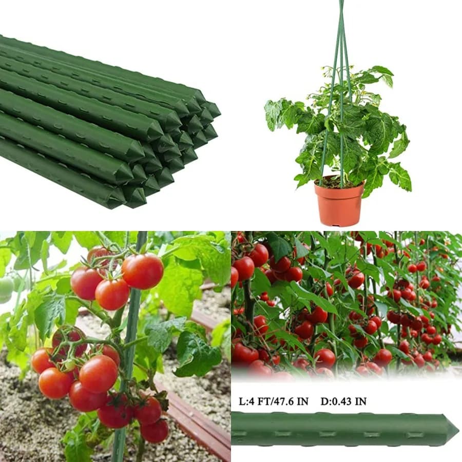 Pali per Piante da 48 Pollici, Supporti per Pomodori e Piante in Vaso