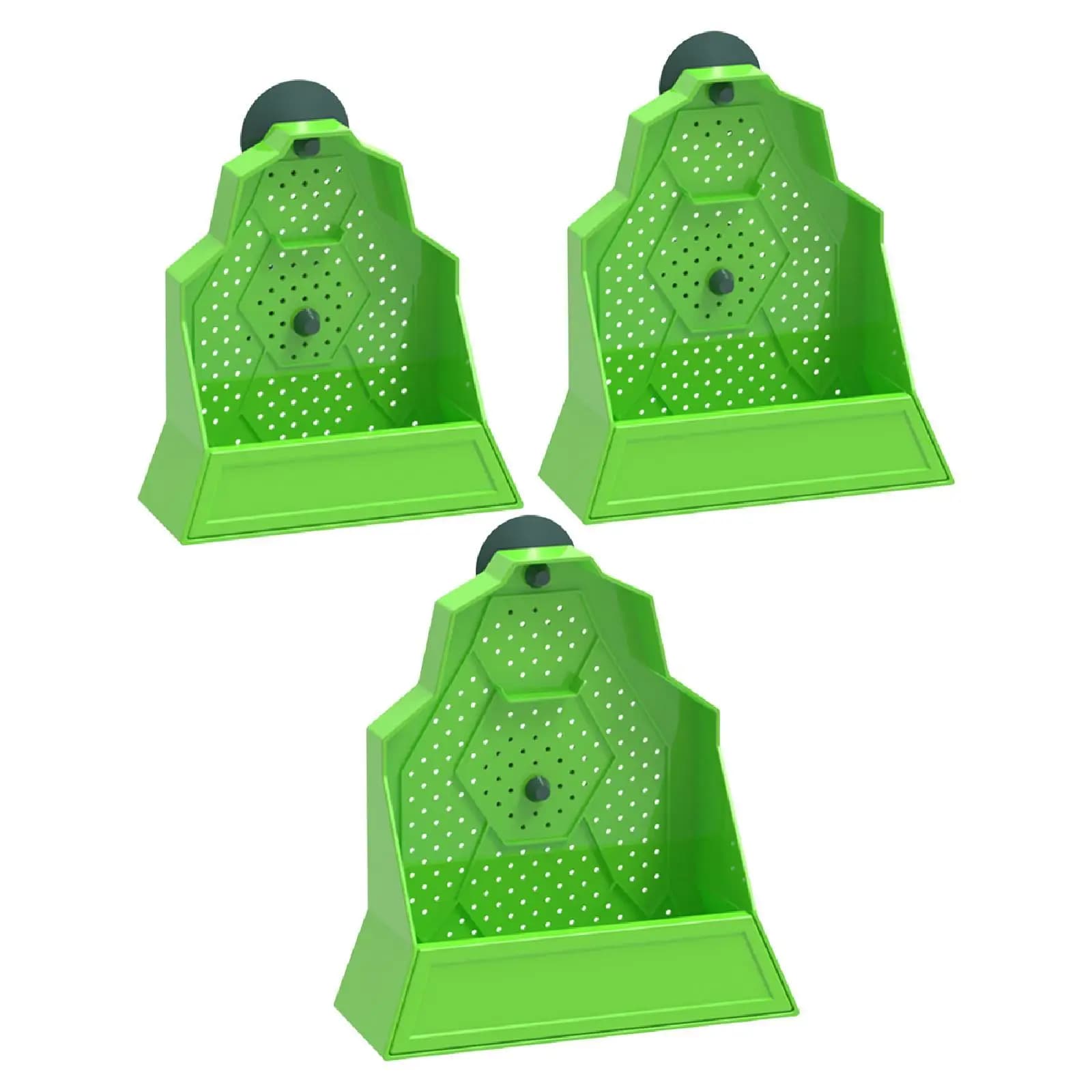 Food Container with Rettili suction cup, Rane, Gechi, Iguane and Camaleonti Power Box