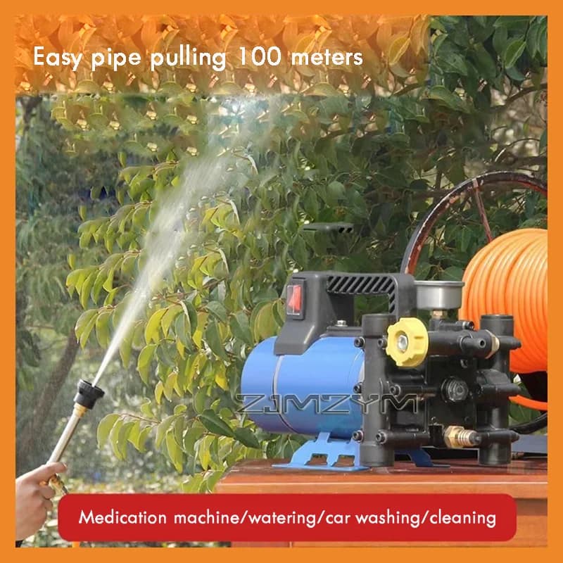 Pompa elettrica agricola ad alta pressione Spruzzo Irrigazione Autolavaggio Irrigazione Pistone a doppio cilindro, Spruzzo per alberi da frutto 12/60/220V