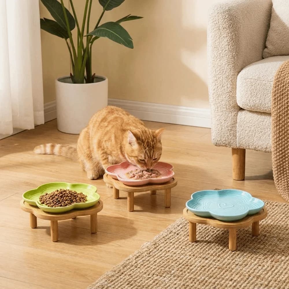 Large Capacity Ceramic Elevated Cat Bowl Cervical Spine Protection Anti-slip Pet Food Bowl Anti Tipping with Wood Stand