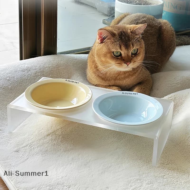 Ciotola in Ceramica per Gatti, Ciotola per Acqua e Cibo per Animali Domestici, Utensili in Ceramica per Alimenti per Cani e Gatti