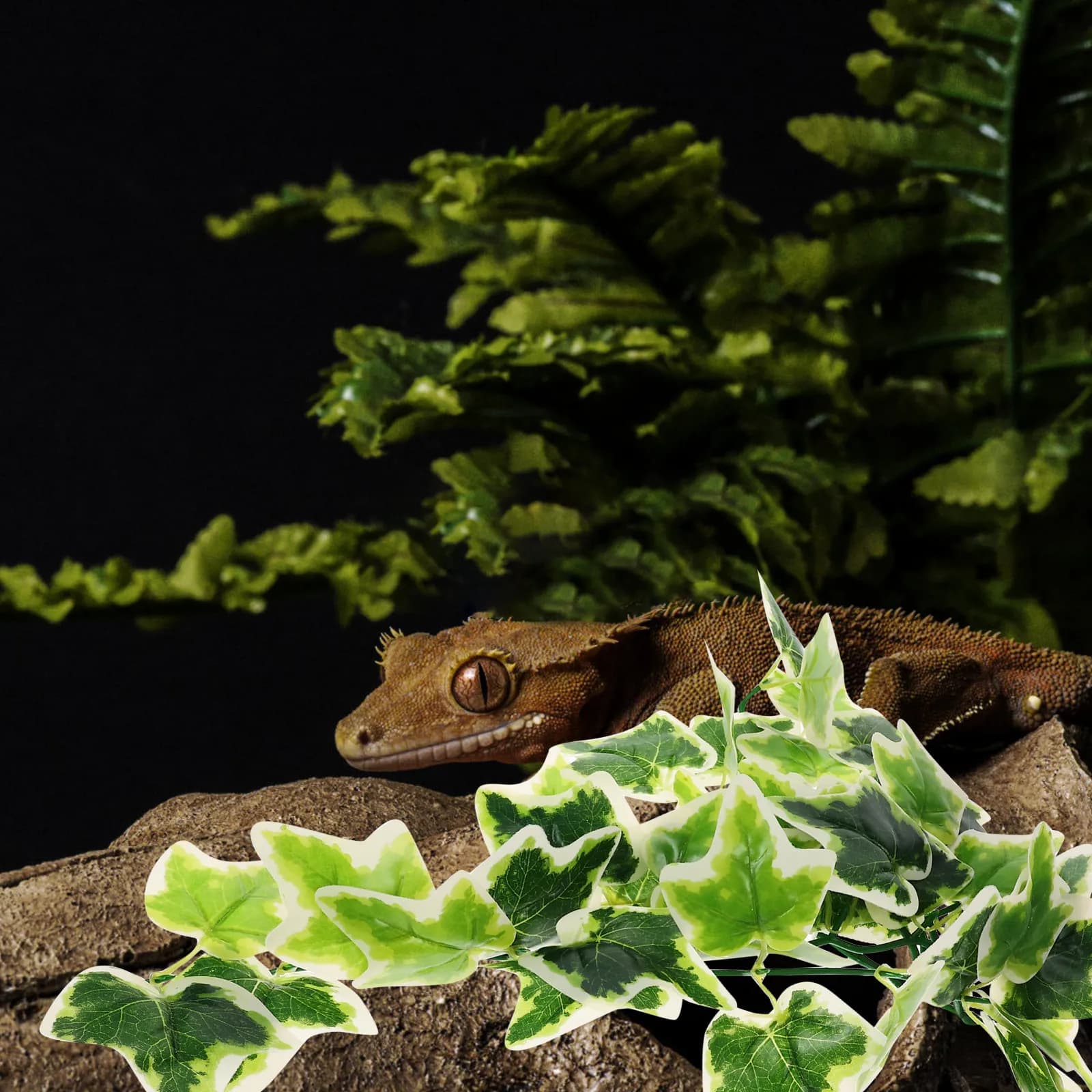 Pianta Artificiale Pendente, Pianta Finta per Terrario, Foglie in Plastica con Ventosa, Decorazione per Terrari e Vasche per Rettili