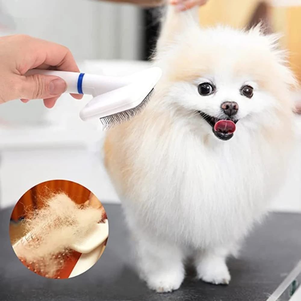 Spazzola per Toelettatura Animali Domestici, Pettine Autopulente per Cani e Gatti, Efficace Strumento per la Rimozione del Pelo e la Cura del Sottopelo, Accessori per Animali