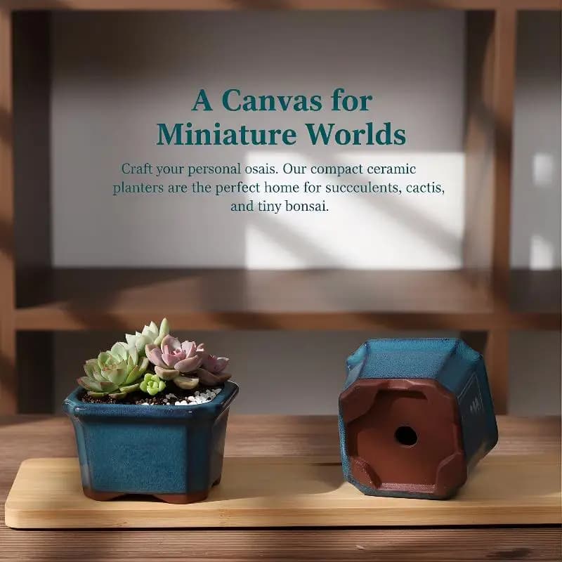Set di 3 Mini Vasi in Ceramica per Piante Succulente, Decorazione per Interni, Ufficio e Davanzale
