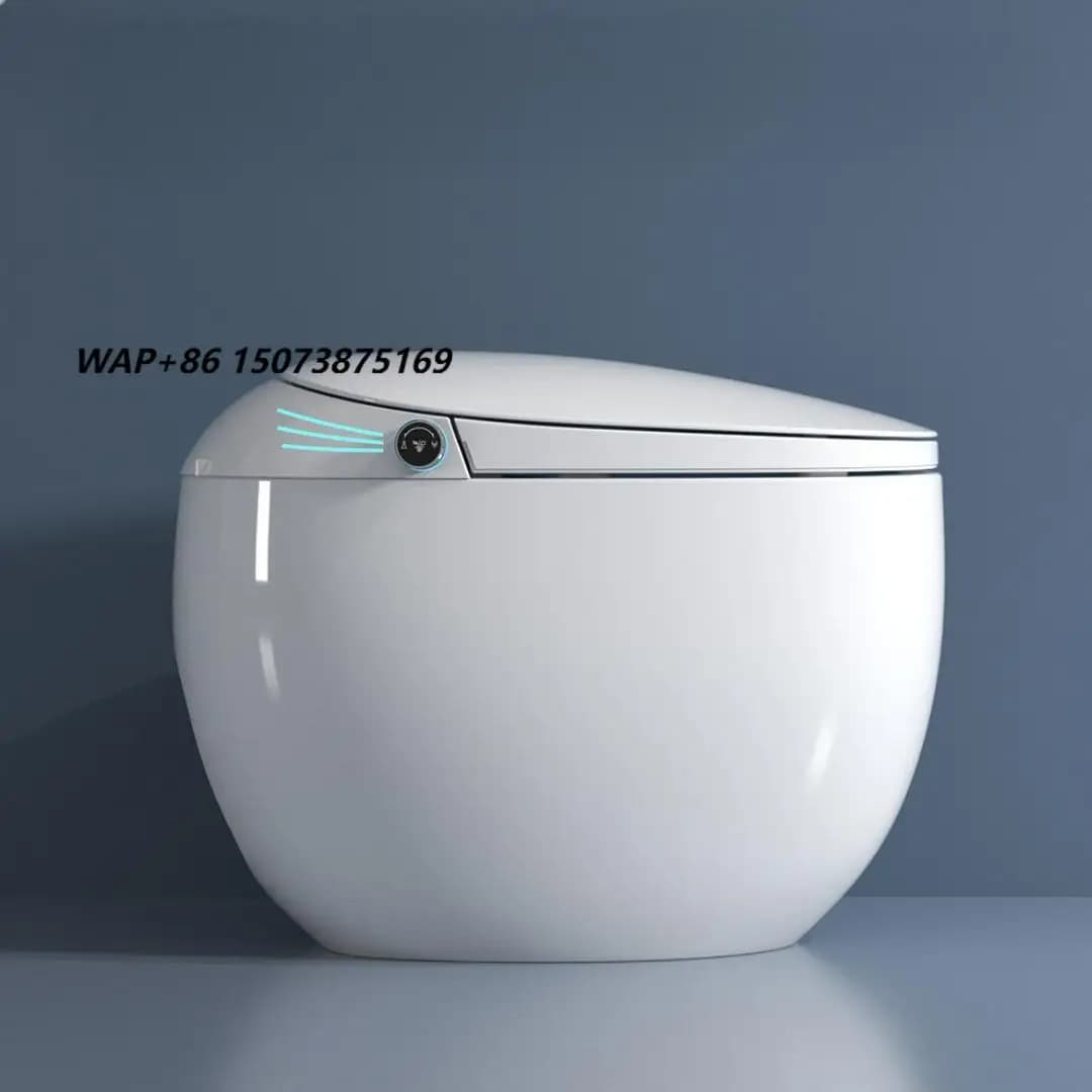 Premium Luxury Smart Toilets Automatic Bathroom Luxury Sanitary Toilet Bowl One Piece Floor Smart Intelligent Wc Toilets