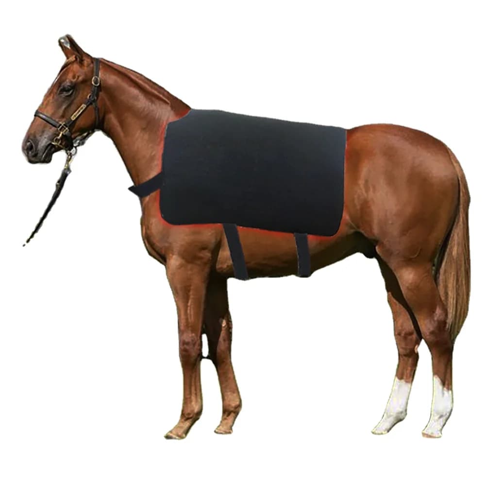Pain Relief Tissue Heating Mat LED 660nm Infrared 850nm 90x115CM Horse Back Red Light Therapy Blanket