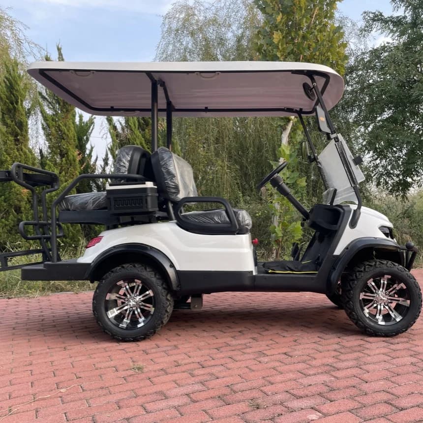 Carrello da Golf Elettrico 2026 di Ultima Generazione con Batteria al Litio, Vendita all'Ingrosso e al Dettaglio, con Cinghie Porta Sacca, Cestino e Lavapalline