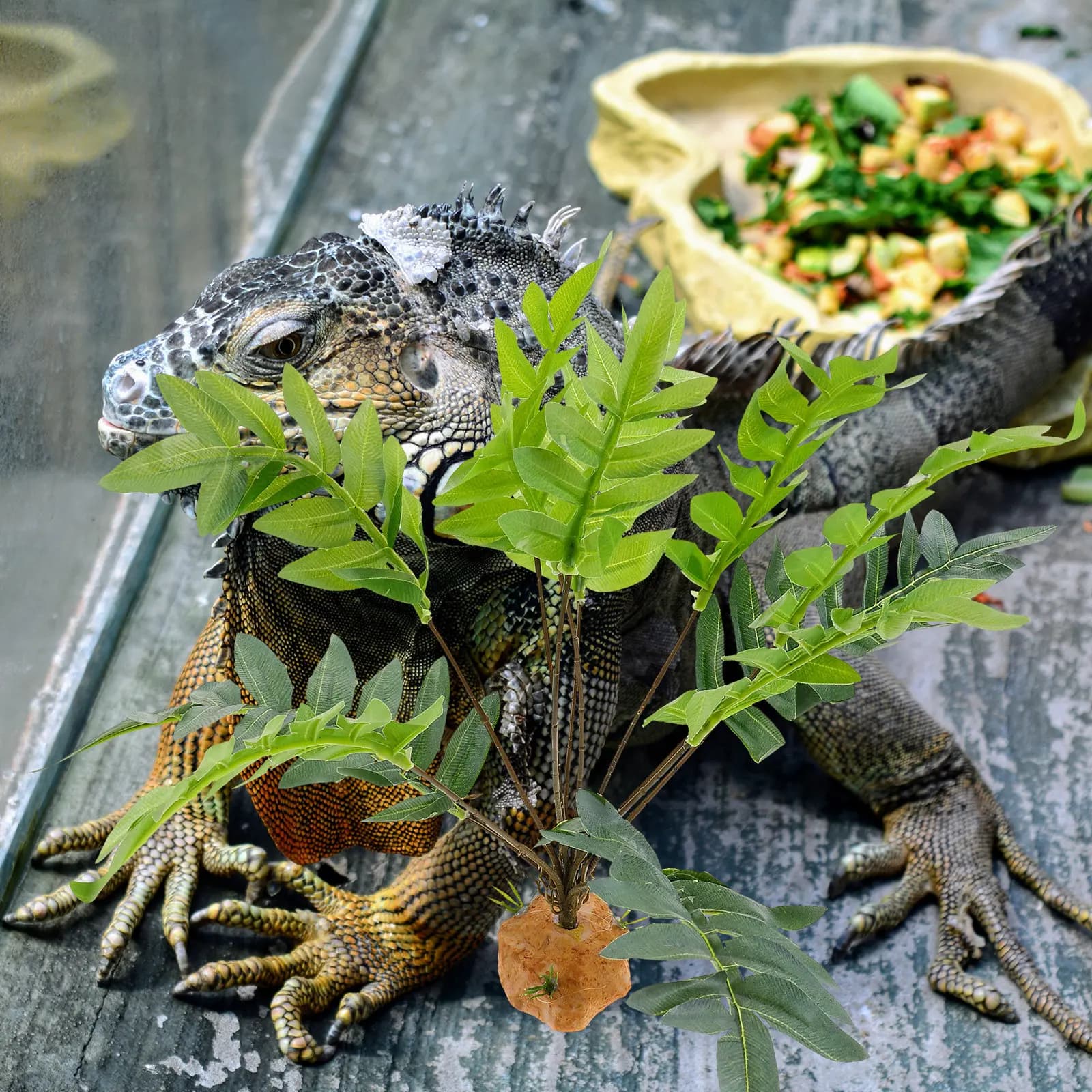 Realistic Artificial Plant for Terrarium, Realistic Decoration for Terrarium, Simultaneous Vegetation, Rettile Hide, Aquarium Landscape