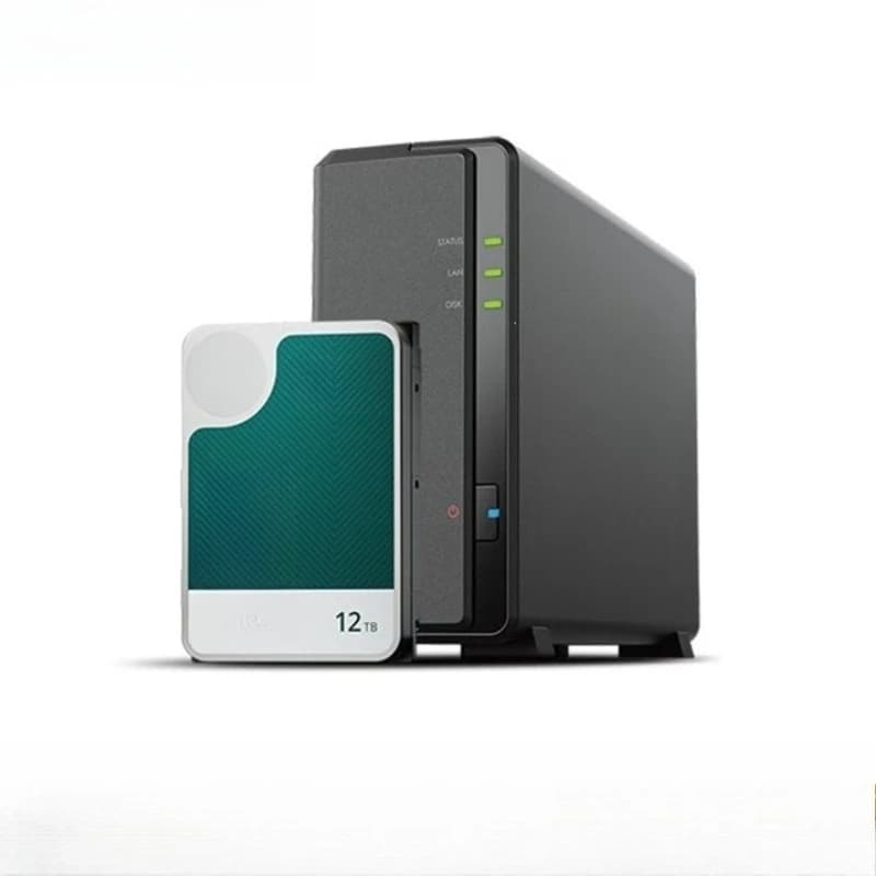 Server di archiviazione di rete NAS a bit singolo DS124, versione da 12TB