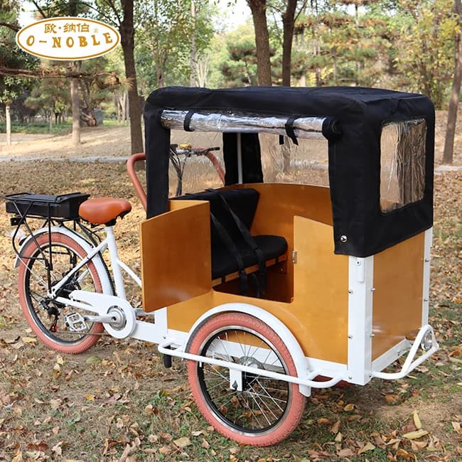 New Arrived 3 Wheel Electric Cargo Bike with Aluminum Alloy Fork & Rim 24-inch Wheels 200KG Load Capacity China Cargo Tricycle