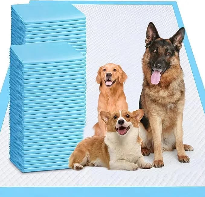 Tappetini Assorbenti Extra Large per Addestramento Animali, 31x47 Pollici, 100 Pezzi, Super Assorbenti e Impermeabili per Cani e Gatti