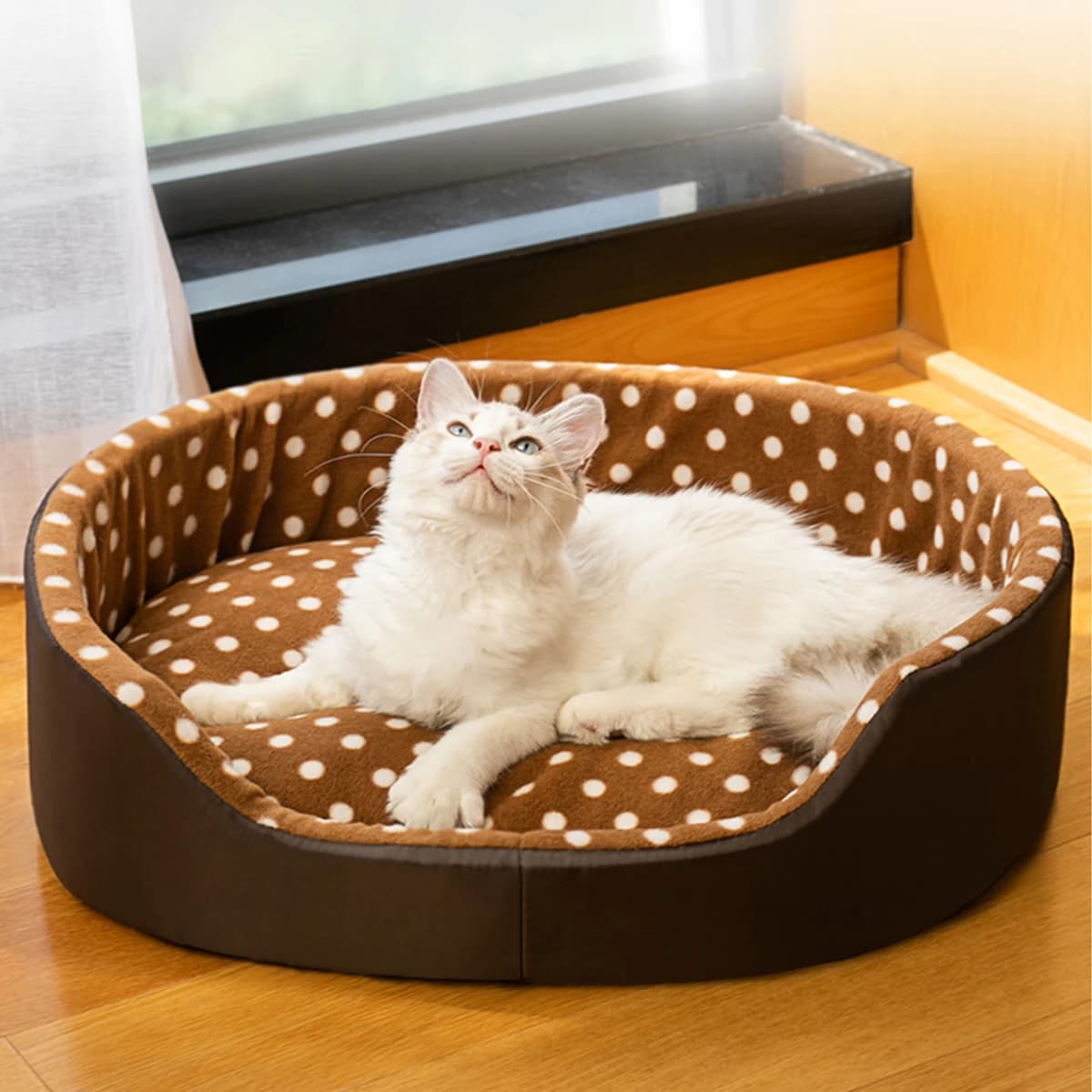 Letto per gatti Dot Sponge Pad Accessori per cani Case e habitat Casa per animali Articoli per cuccioli Tutti i rifornimenti Cuscini Cose Letti Cestino Zerbino