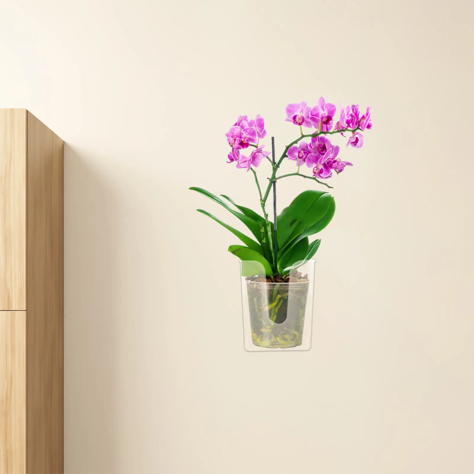 2 Pezzi Fioriera da Parete Trasparente per Orchidee, Vaso Sospeso per Piante da Interno ed Esterno con Monitoraggio della Salute delle Radici, Stile Rustico