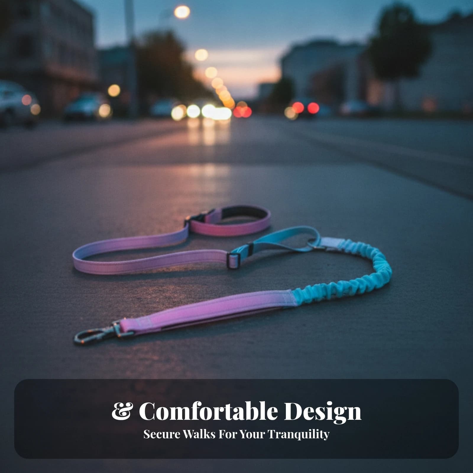 Shock-Absorbing Leash Gradient Color Elastic Pet Leash Nylon Dog Lead Tangle Unrestricted Heavy Duty