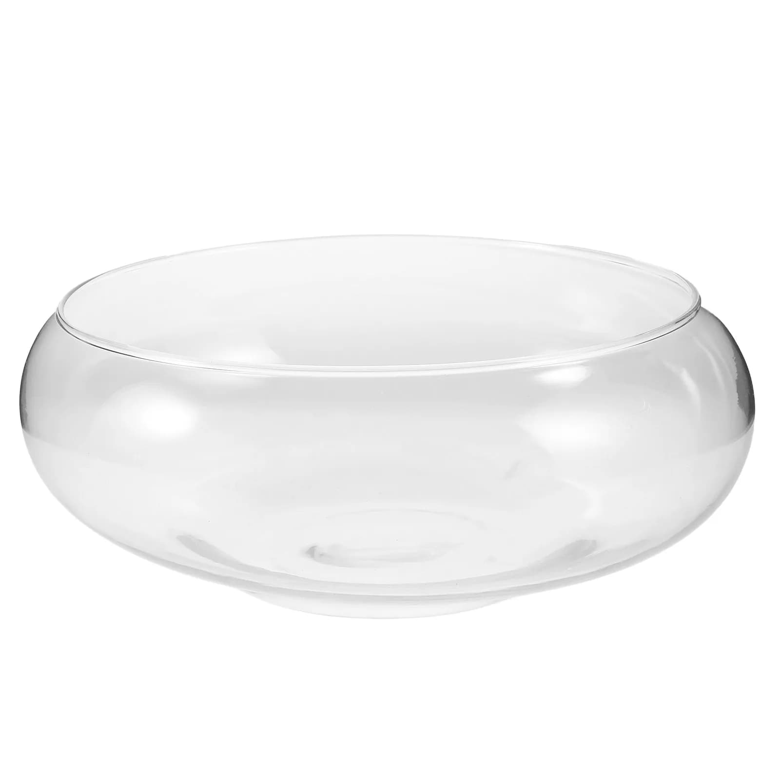 Glass Hydroponic Vase for Fat and Pothos Plants, Transparent Aquarium, Decorative Bowl for Interior Plant Propagation