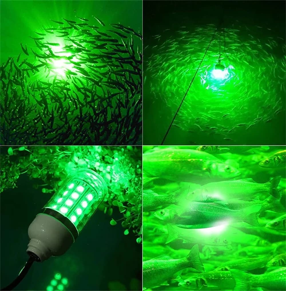 LED Fishing Light Underwater Fish Lamp AC/DC12V Ip68 Bait Spotter Lights Attractive Lure To Gather Prawns Squid Krill Multicolor