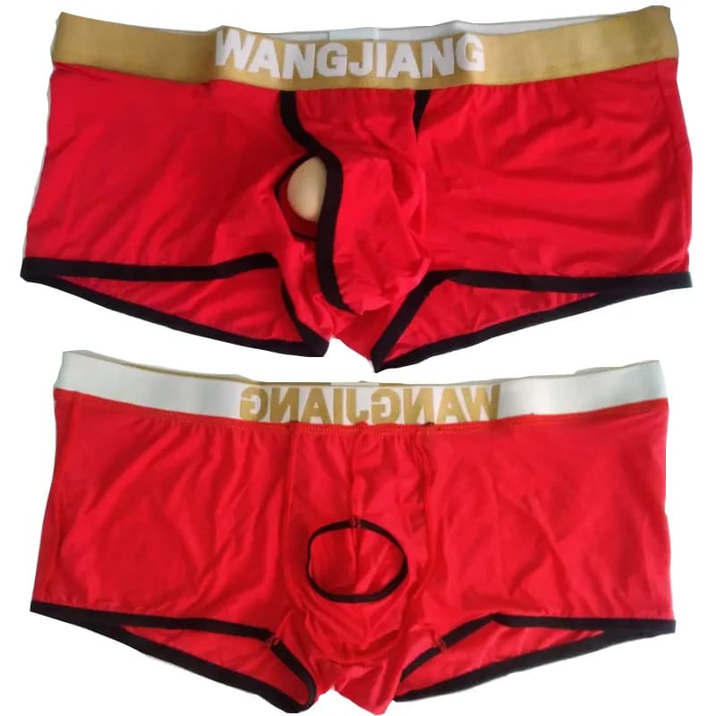 Wangjiang Uomo Seta di ghiaccio Aperto sul davanti Vita bassa Custodia di supporto 3D Biancheria intima Boxer Pantaloncini Mutandine comode Mutande per uomo