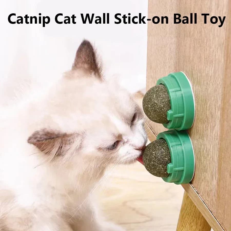Giocattolo da parete con palla appiccicosa per gatti con erba gatta, snack naturale per migliorare la digestione e la cura del benessere dei gatti