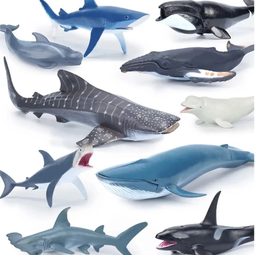Simulazione Marine Sea Life Whale figurine Shark Cachalot Action Figures Ocean Animal Model Dolphin Hammerhead giocattoli educativi