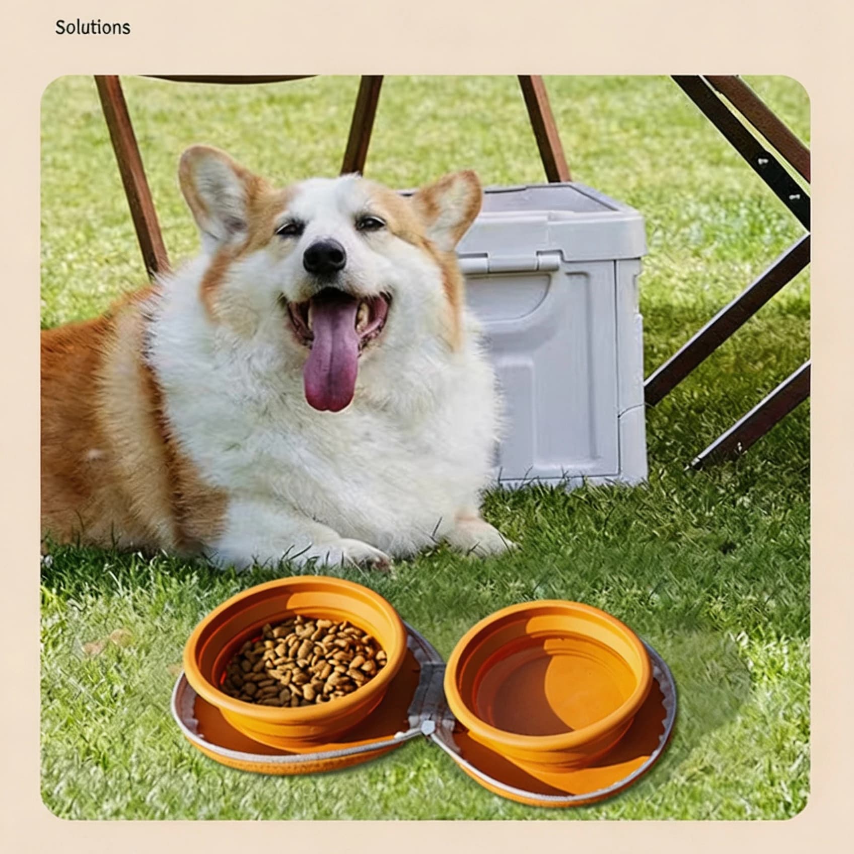 Foldable Pet Travel Bowl Portable Silicone Double Dog Cat Water Food Bowl 450ml×2 Collapsible Feeding Bowl for Outdoor Hiking Ca