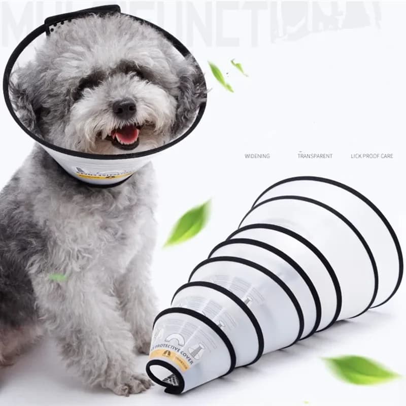 Collare protettivo per animali domestici Collare a cono per recupero cono per collo di cane per chirurgia anti-morso Guarigione delle ferite Cerchio medico per la salute dei cani e gatti