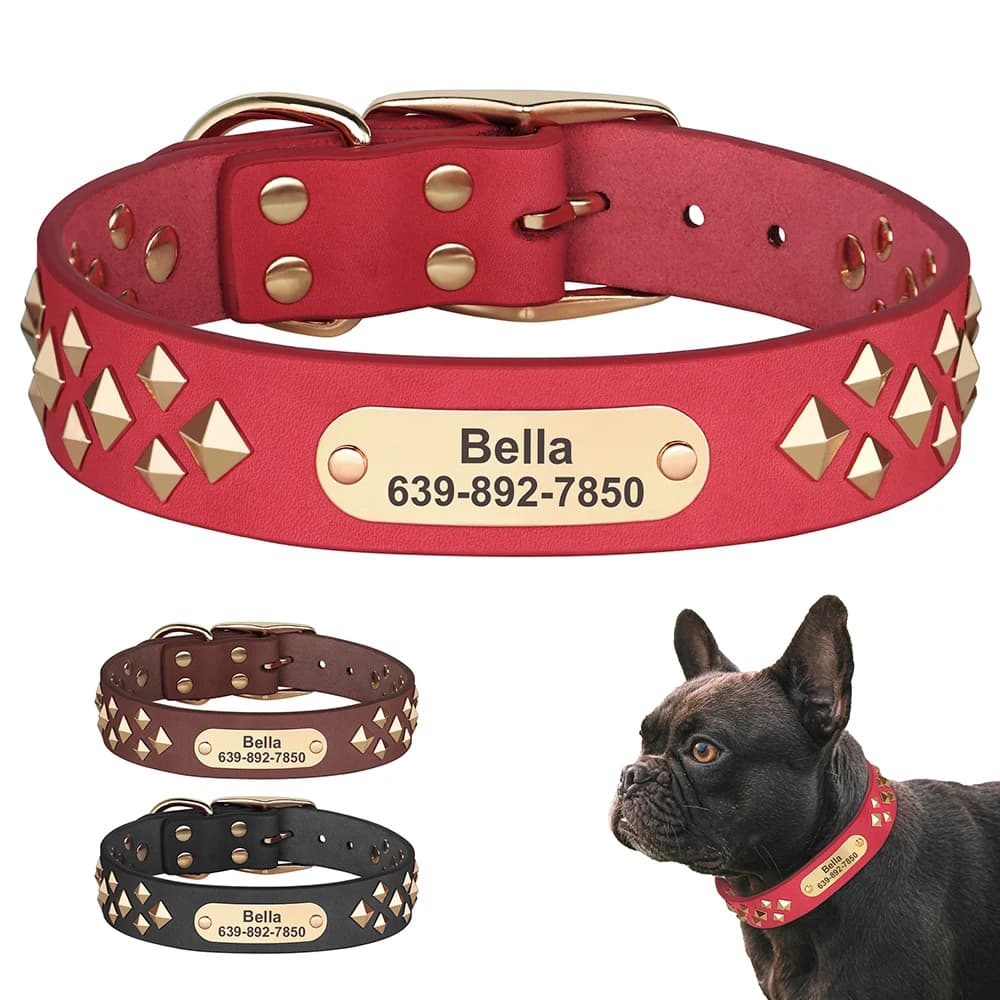 Collare per cani personalizzato in vera pelle Collari per cani personalizzati con punte fresche Collana per animali domestici incisa gratuita per cani di piccola taglia e media Carlino