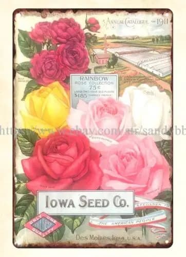 rustic metal wall art 1911 Iowa Seed Co flower roses gardening metal tin sign sign