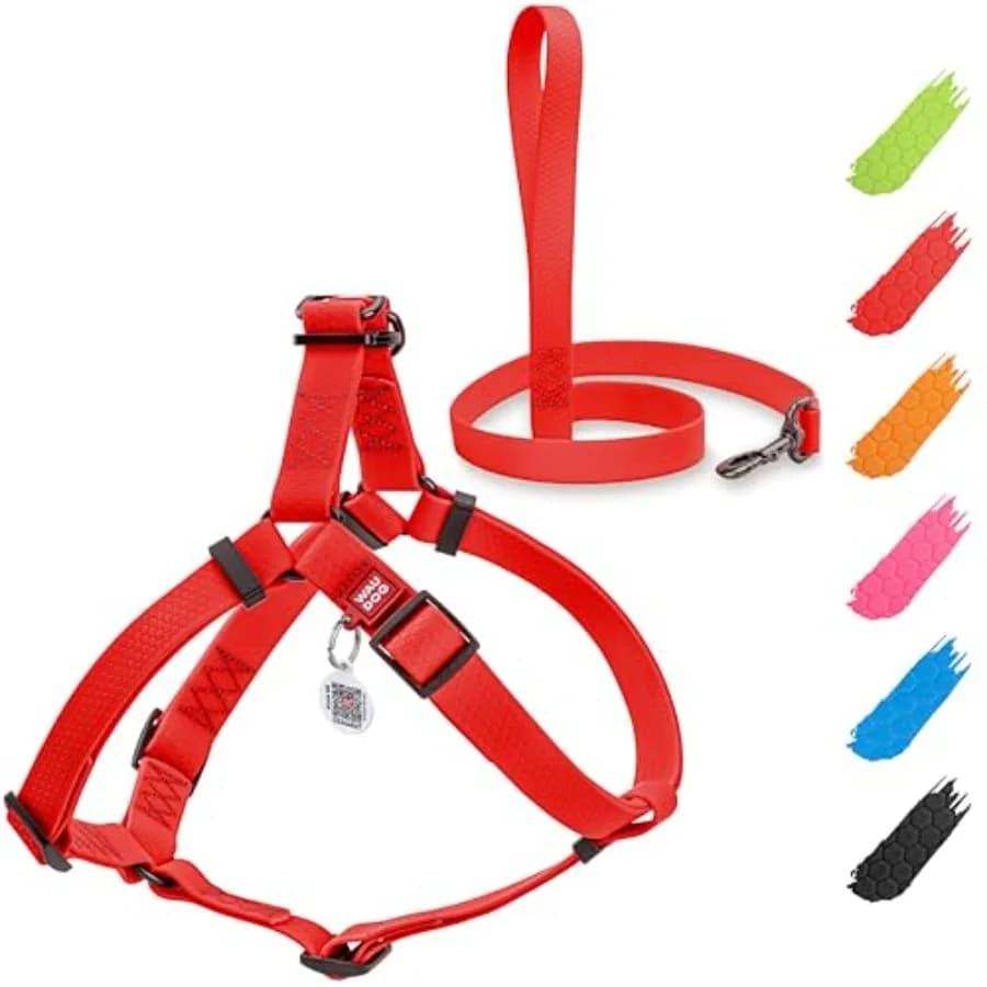 Set Pettorina Impermeabile per Cani e Guinzaglio da 1,8 m - Regolabile, Resistente con Moschettone in Metallo Durevole e Targhetta QR per Cani