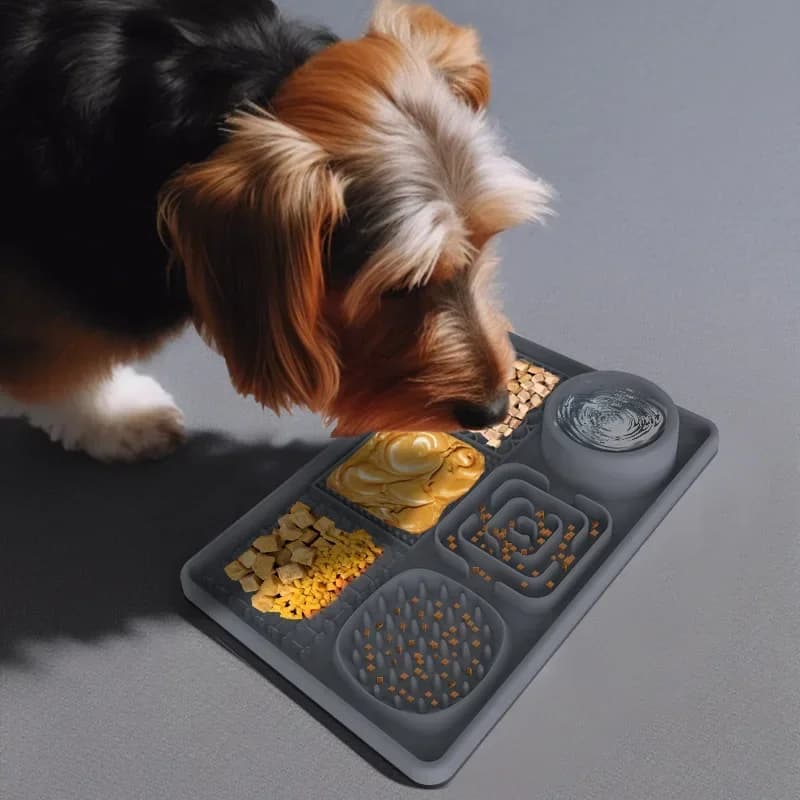 Set di ciotole per cani con alimentatore lento in gomma siliconica 6 in 1, cuscinetti per leccare animali domestici, utensili per alimenti per animali domestici, tappetino antiscivolo per leccare e ciotola per acqua per gatti/cani