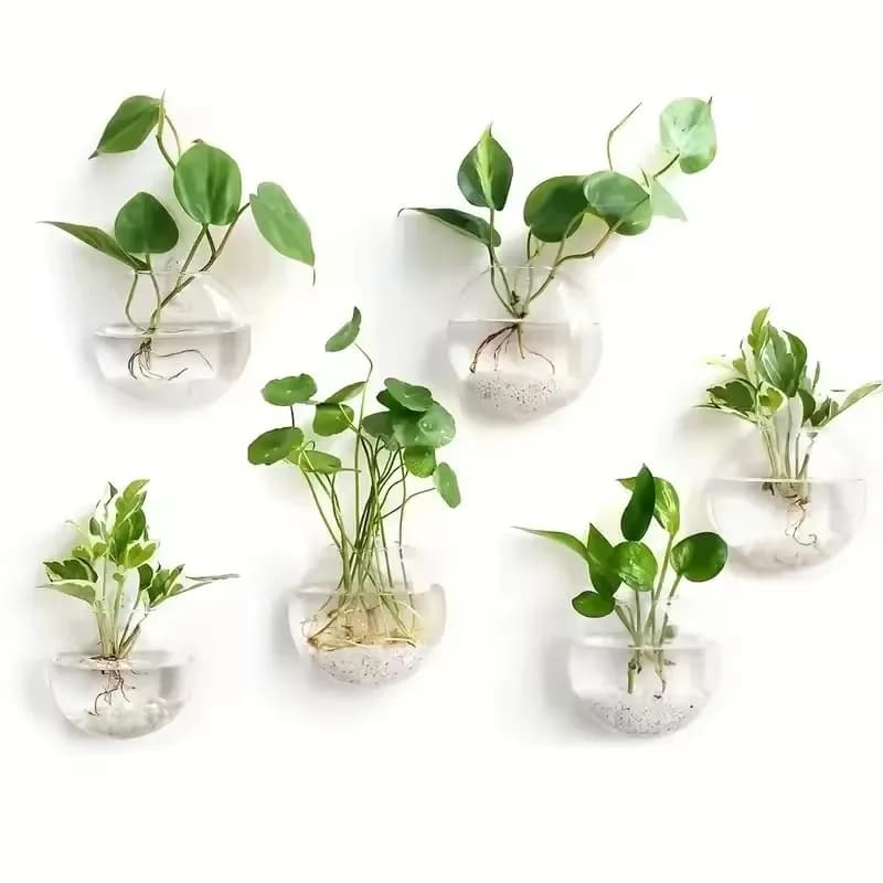 Terrario in Vetro da Parete 2/4/6 Pezzi - Fioriera Idroponica Autoirrigante per Arredamento Casa e Ufficio, Vaso in Cristallo Rotondo Fatto a Mano
