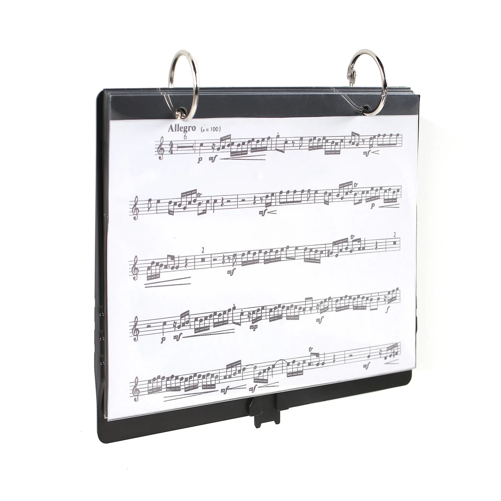 Music Sheets Holder with 5 Plastic Sheets Saxophone Clarinet Flute Trumpet Sheet Folder Lightweight Portable Music Stand