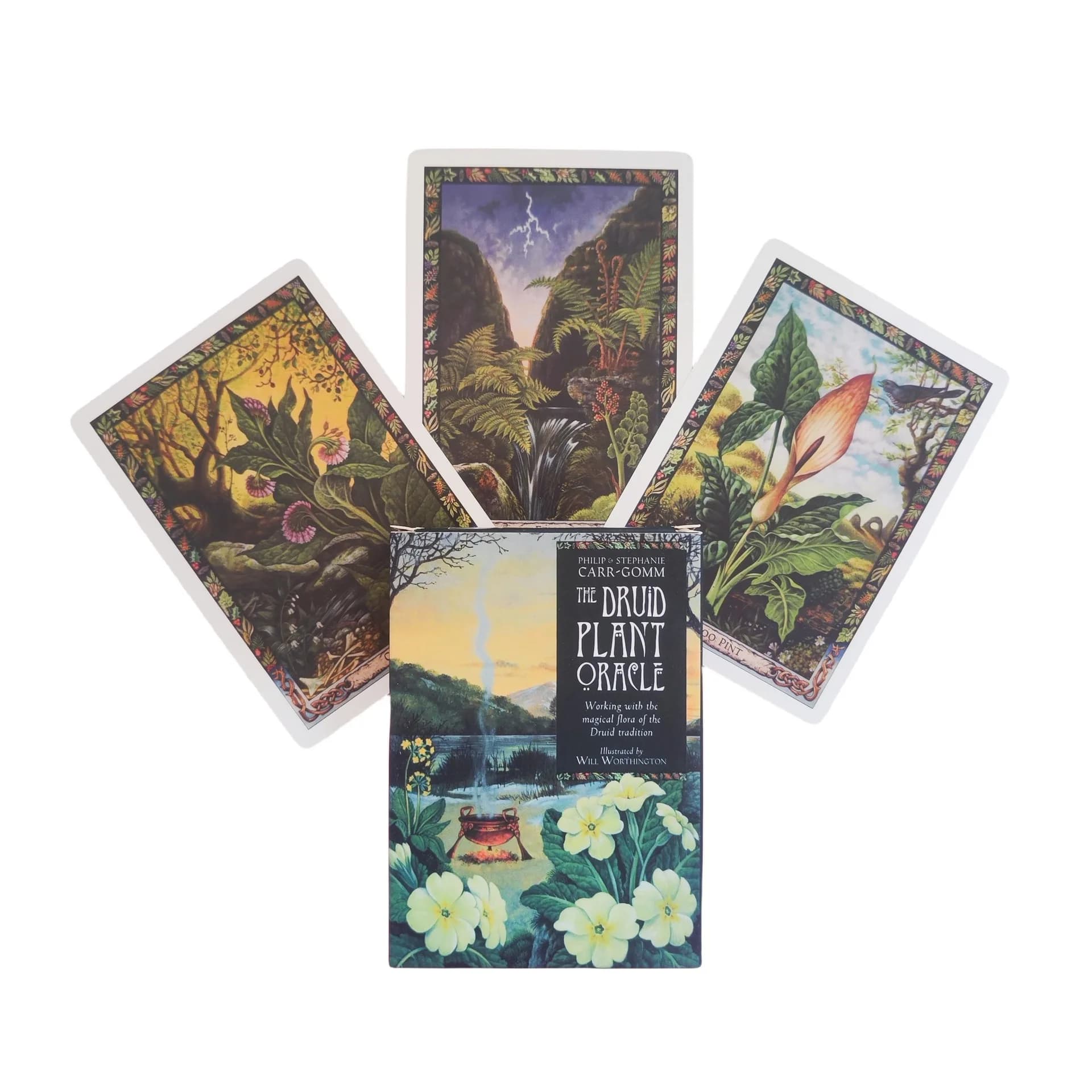 The Druid Plant Oracle Cards 36 fogli versione inglese divinazione gioco da tavolo tarocchi per appassionati di piante