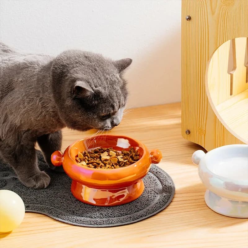 Ciotola per animali domestici in ceramica Prodotti per cani e gatti Proteggi la colonna vertebrale cervicale Ciotola per cibo per gatti con piede alto Ciotola antiribaltamento Ciotola per gatti Tariffa
