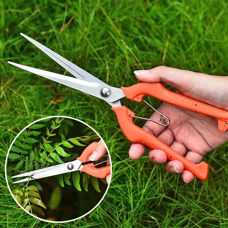 Stainless steel pruning scissors, for bonsai grafting, fruit harvesting, fruit selection scissors, garden pruning tools, garden shears
