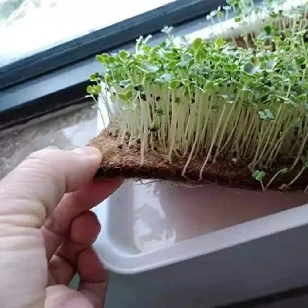 1 Roll Fiber Mat For Composting Bin Garden Composting Mat Planters Biodegradable Coir Liner Pad Weed Control Tool