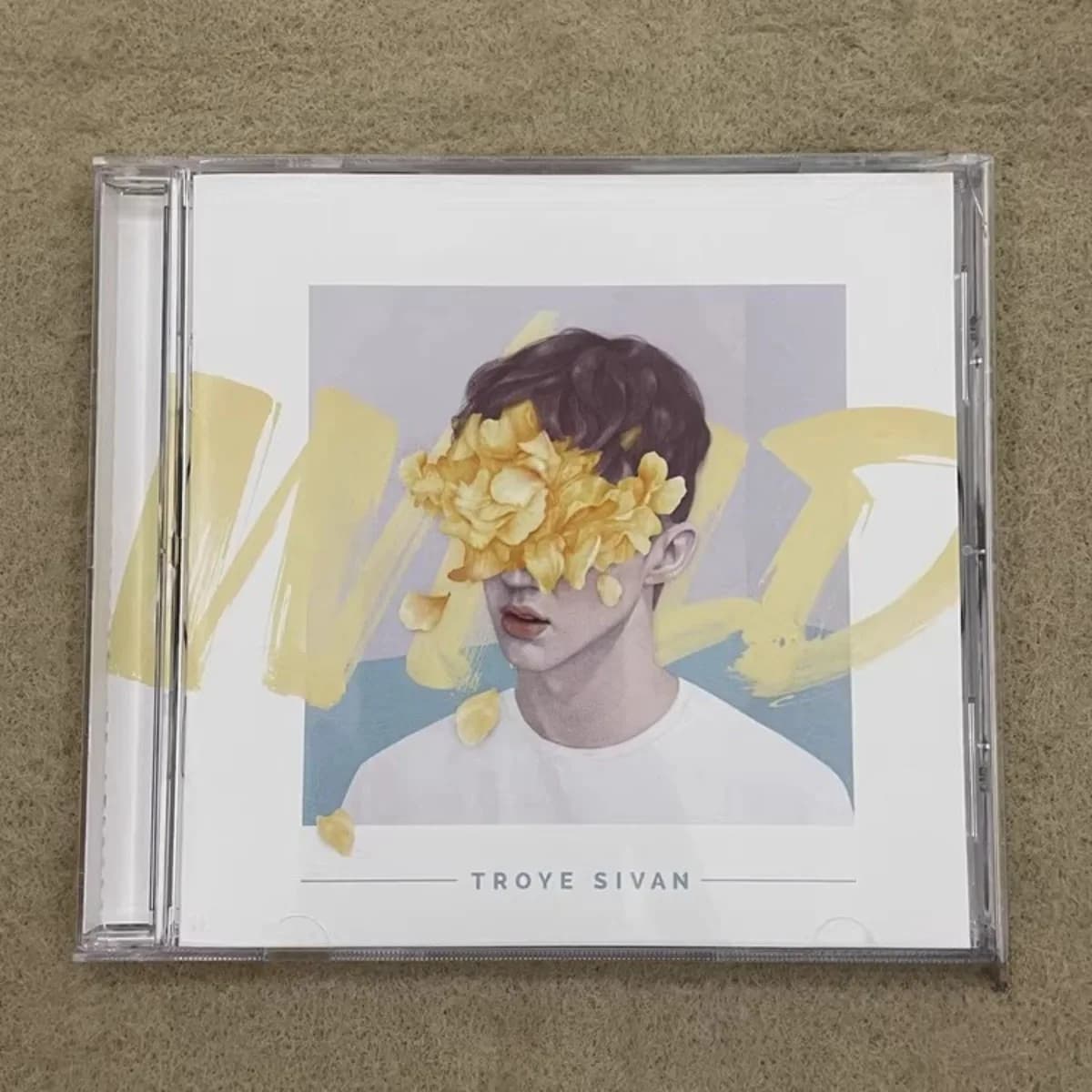 Troye Sivan Wild – Pop australiano, voce maschile elettronica e dreamy, ballad giovanile, atmosfera poetica, musica da collezione