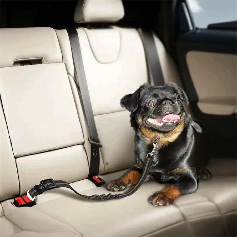 1pcs Adjustable Dog Car Seat Belt Harness for Dogs Nylon Reflective Cushioning Elasticity Car Travel Dog Accessories for Dogs