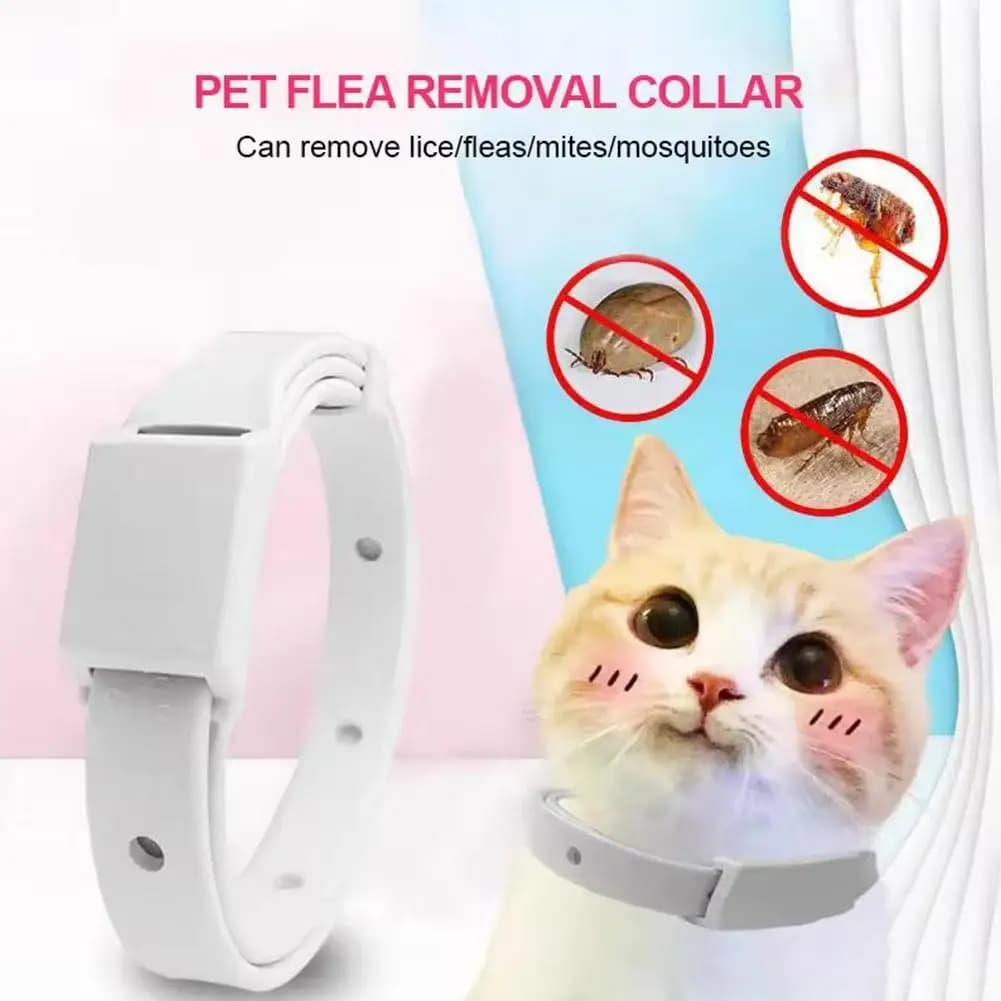 Collare antiparassitario per animali domestici, rimuove pulci e pidocchi, impermeabile, resistente allo sporco, facile da pulire, regolabile, per cani e gatti.