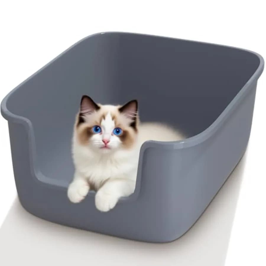 Lettiera per gatti grande con bordi alti, vaschetta igienica 50 x 40 x 22 CM, anti-schizzi, profonda e alta, per gatti da interno - Basics
