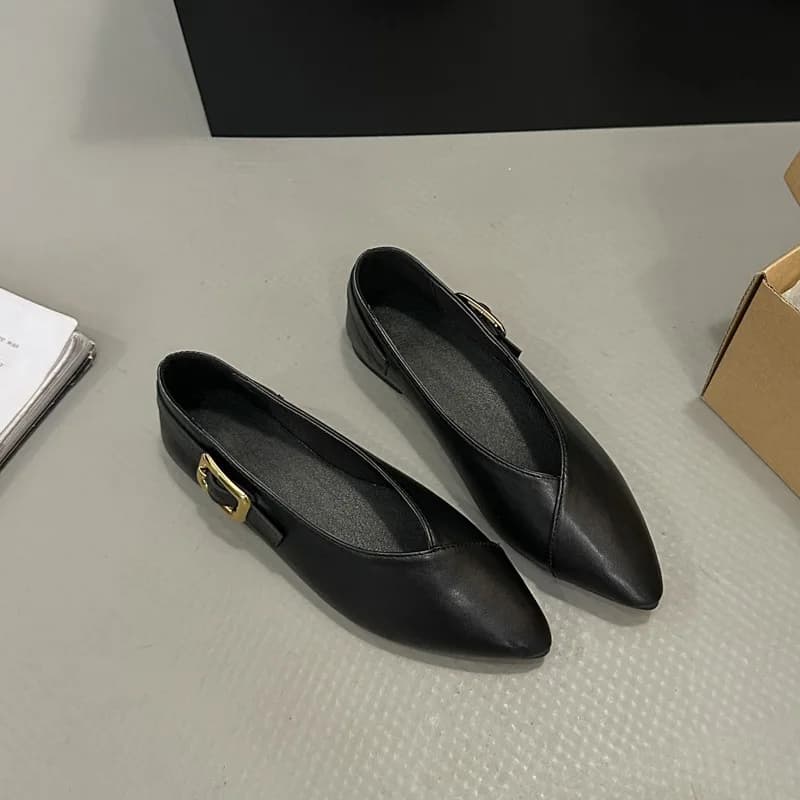 Low Heel Pointed Toe Single Shoes Women's New 2026 New Flats