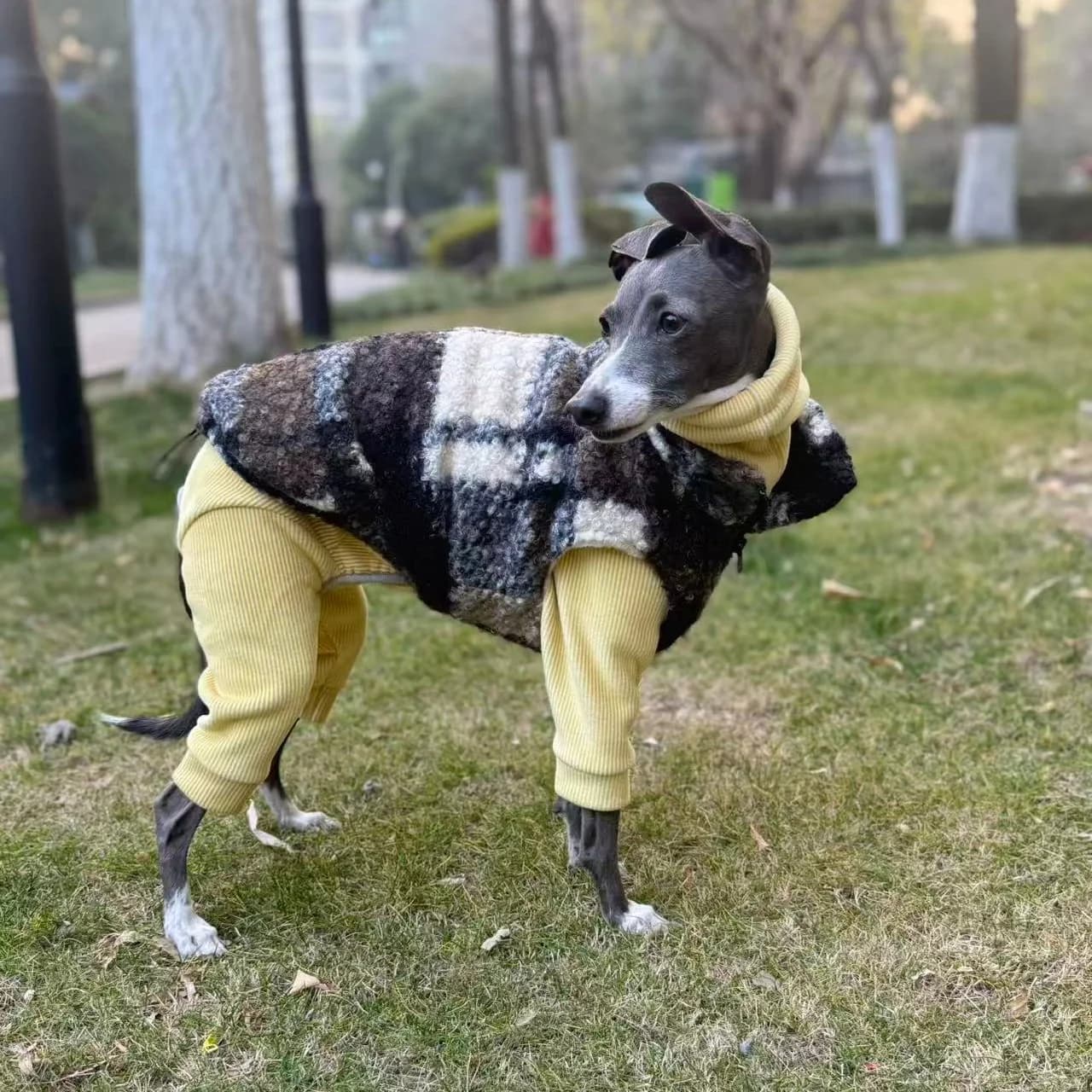 Winter Fleece Sweatshirt Vest Suit for Italian Greyhound Autumn Warm Asjustable Jumpsuit Coat for Whippet Yellow Pajamas for Dog