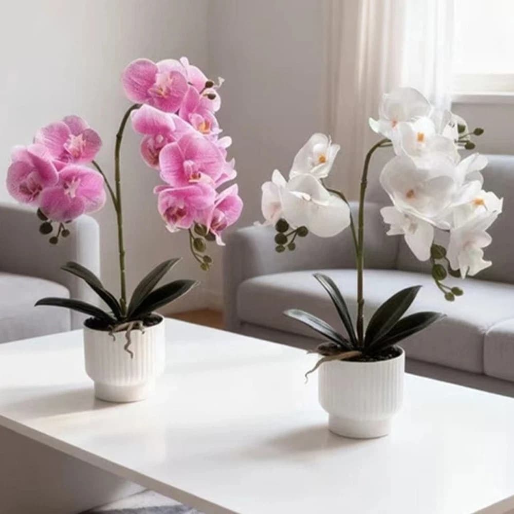 Multi-Bloom Simulated Butterfly Orchid DIY White Flower Pot Artificial Faux Plants Faux Flowers Artificial Orchid Bonsai