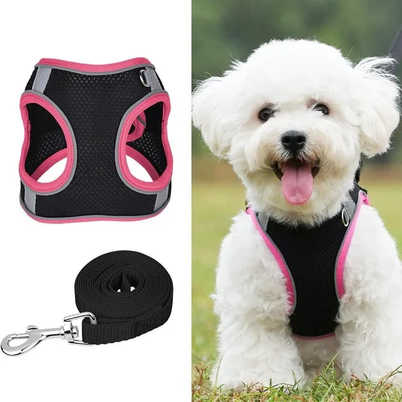 Set imbracatura e guinzaglio per cani, velcro in nylon, attrezzatura da passeggio per cani di piccola taglia stile gilet, guinzaglio da passeggio anti-pull, Teddy French Bulldog